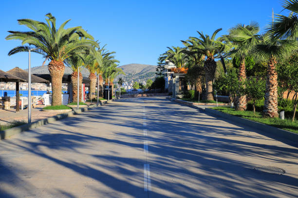 istock Road along the palm trees in Saranda 1397869263