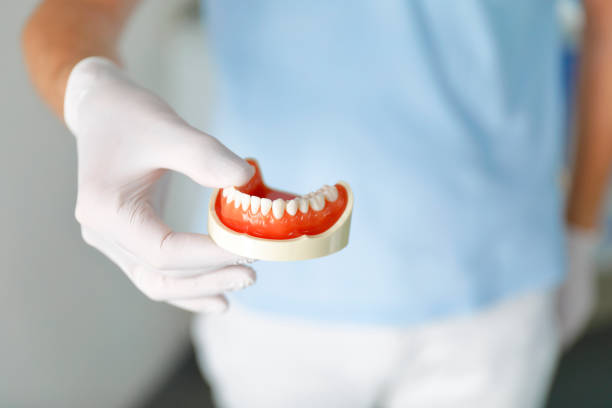 istock Model of a lower jaw in a doctor's office 1397869299