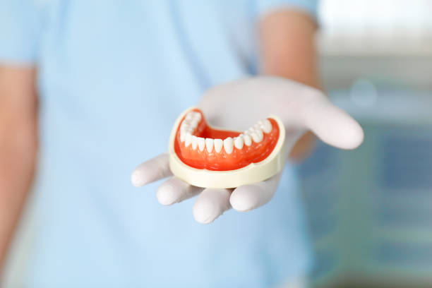 istock Model of a lower jaw in a doctor's office 1397869311