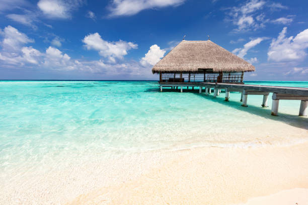 istock Beach in Maldives with wooden jetty 1397872023