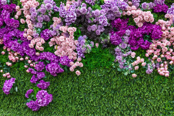 Purple and pink floral background wall with flowers: roses, peonies (Paeonia) and lilac (Syringa).