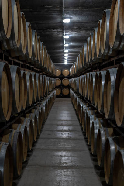 istock Corridor in a wine cellar with wooden barrels stacked in darkness 1397873208