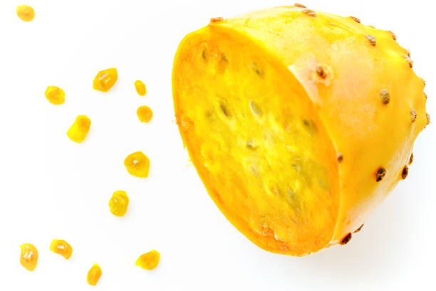 neon fruits - nopales cactus