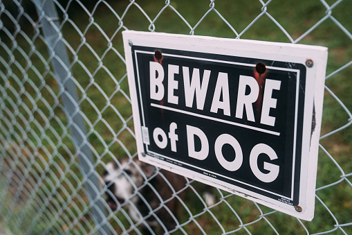 Beware of Dog Sign on Fence