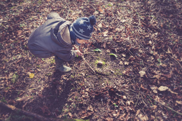 A child is playing in a forest making a face of a magical creature on the ground by natural means.