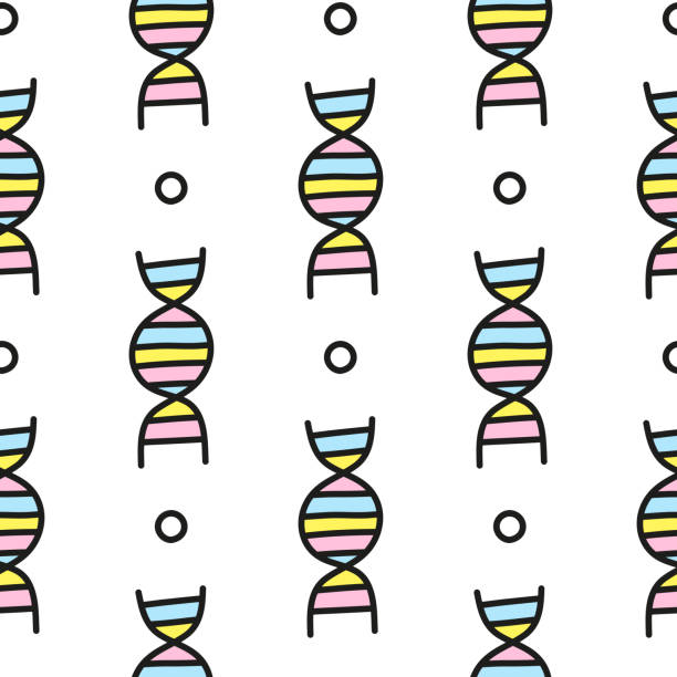 Dna Patterns Simple 150+ Dna Replication Drawings Stock Photos, Pictures & Royalty-Free ...