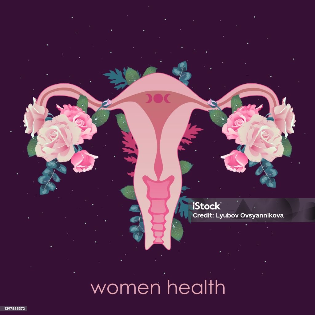 Female Reproductive System Pretty Beautiful Female Reproductive System With Flowers Stock Illustration ...