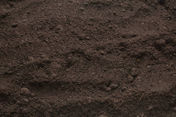 istock Black land for plant background. Top view. 1397886154