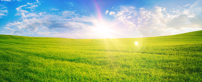 Natural panoramic landscape with spring meadow with curved horizon line. Field bright juicy green grass against a blue sky with clouds and sun flare.