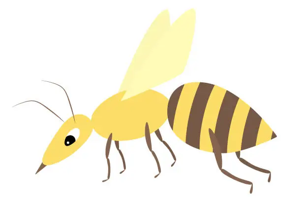 Vector illustration of Wasp. A small fly with a stinger and a striped body. Color vector illustration. Insect with yellow wings. Isolated background