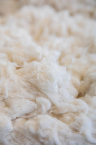 White Cotton or wool texture background surface. Textile industry concept background