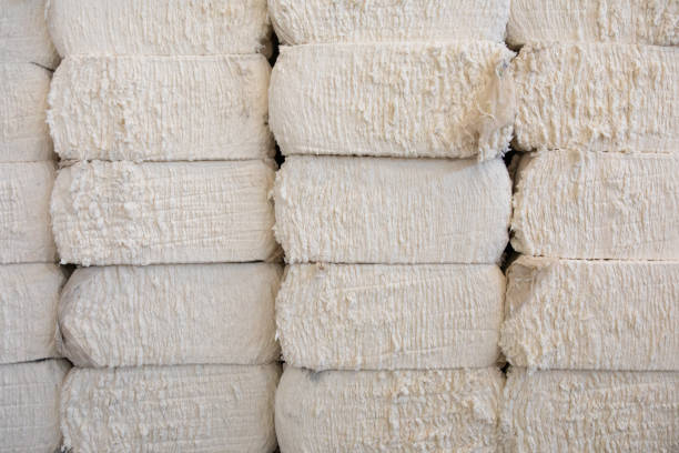 istock Pile or stack of cotton bales at textile factory or industry 1397889143