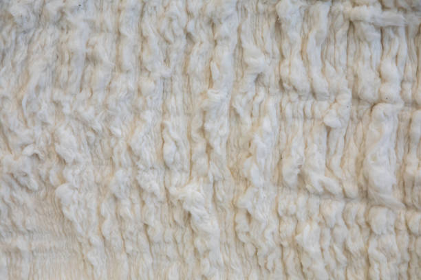 istock White Cotton or wool texture background surface. Textile industry concept background 1397889289