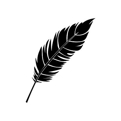 feather isolated black vector drawing silhouette hand drawing sketch bird single feather outline