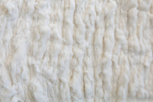 istock White Cotton or wool texture background surface. Textile industry concept background 1397889386