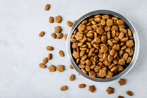 Dog food. Dried pet dog food in bowl on gray stone background, top view with copy space