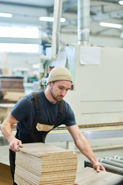 istock Carpenter working with wooden material at plant 1397893263