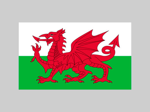 웨일즈 국기, 공식 색상 및 비율. 벡터 일러스트레이션. - welsh flag stock illustrations