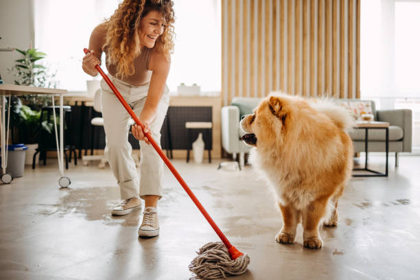 Cleaning is more fun with you stock photo
