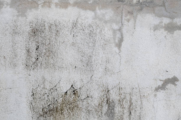 istock Old Concrete wall In black and white color, cement wall, broken wall, background texture, stone flor 1397896499