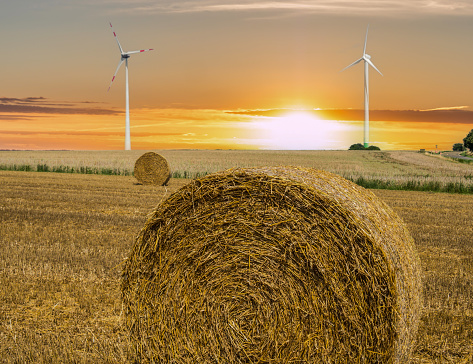 Hay bales with wind turbines in the background
