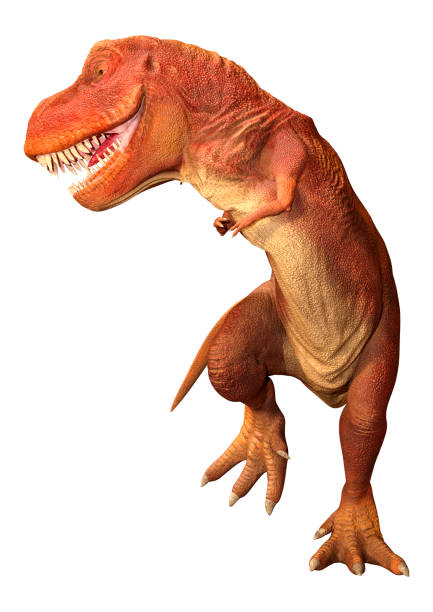 istock 3D Rendering Tyrannosaurus Rex on White 1397896863