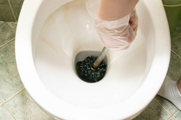 istock Toilet Brush Cleaning 1397898953