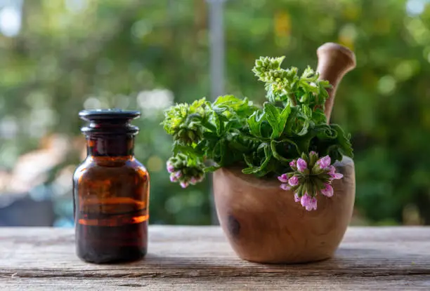 Citronella geranium essential oil glass bottle on wooden table, close up view. Aromatherapy oil, mosquito repellent, blur nature background
