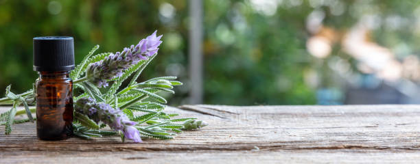 istock Lavender essential oil on table, close up. Aromatherapy bloom herb, copy space 1397899368