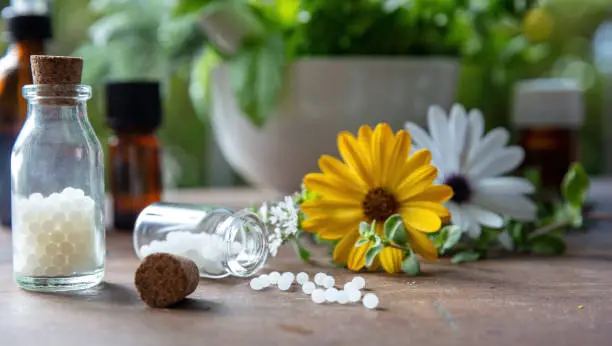Homeopathy pharmacy, herbal, natural medicine. Homeopathic globules scattered out of a glass bottle, fresh herb, green nature background. Alternative healtcare