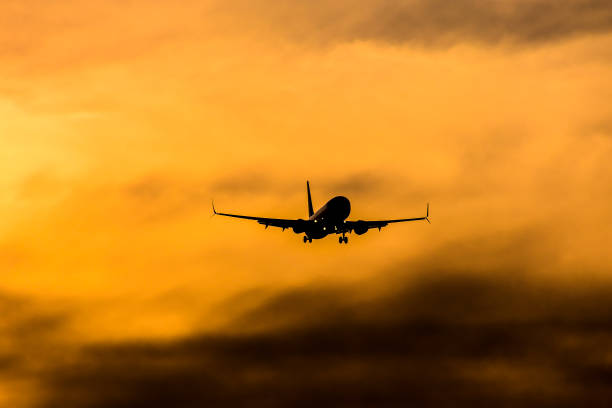 istock Silhouette airplane flying on sunset 1397904631
