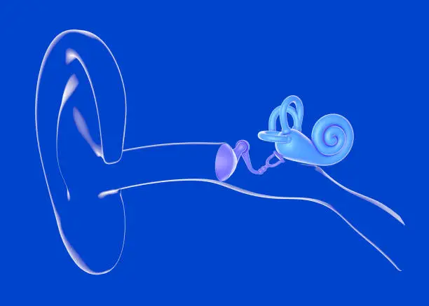 Graphic representation of the interior and the ear on a blue background.
