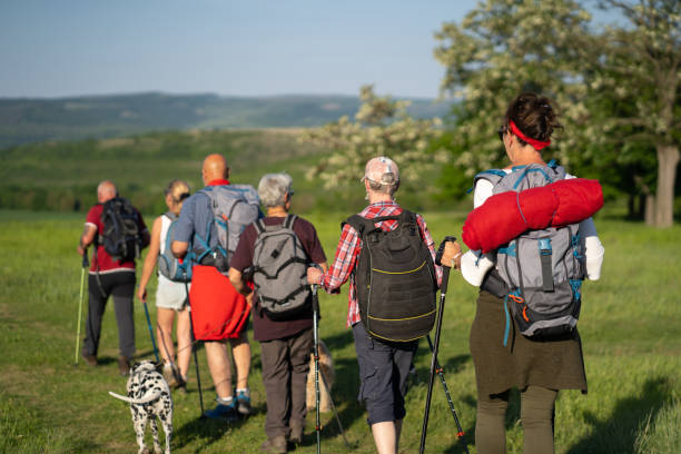 istock Rear view of senior hikers walking with backpacks 1397904803