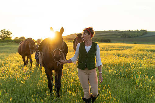 A group of senior female friends is leading their horses outdoors by sunset