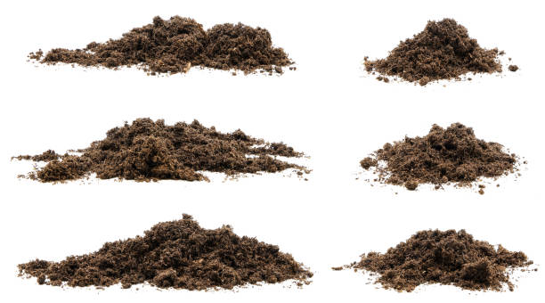 placez un tas de mousse de tourbe ou de terre pour les plantes. isolé sur fond blanc - sol phénomène naturel photos et images de collection