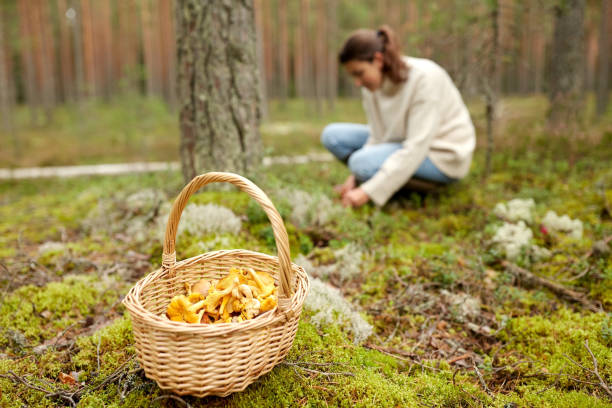 istock young woman picking mushrooms in autumn forest 1397908087