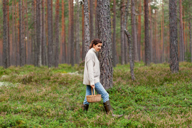 istock woman with basket picking mushrooms in forest 1397909491