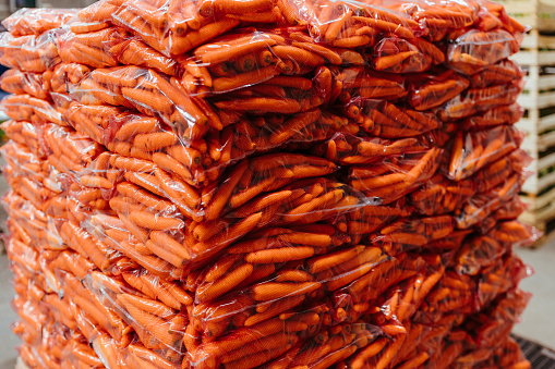 A packed pile of carrots in a warehouse ready for sales