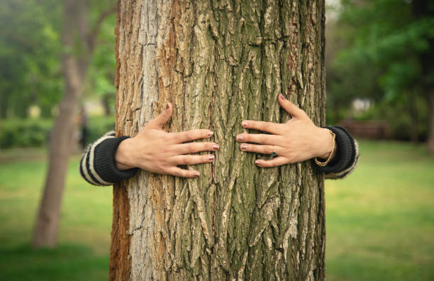 istock Hands of woman hugging tree trunk in forest. Protecting tree for environmental conservation 1397911711