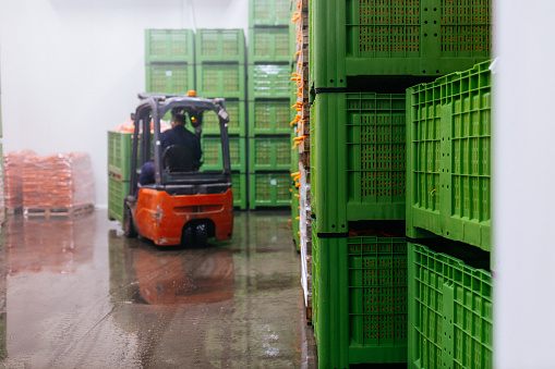 A fork lifter is piling crates of fresh produce in a cooled storage facility
