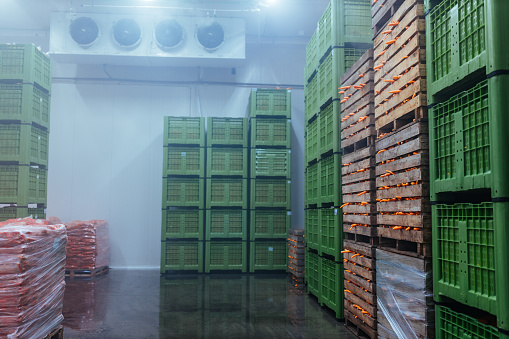 Cooled storage and warehouse full of plastic and wooden crates of fresh produce