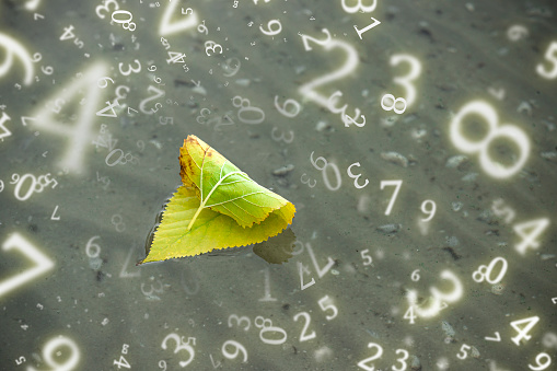 numerology, an autumn leaf in the form of a sailboat floats on the water
surrounded by numbers, life path concept