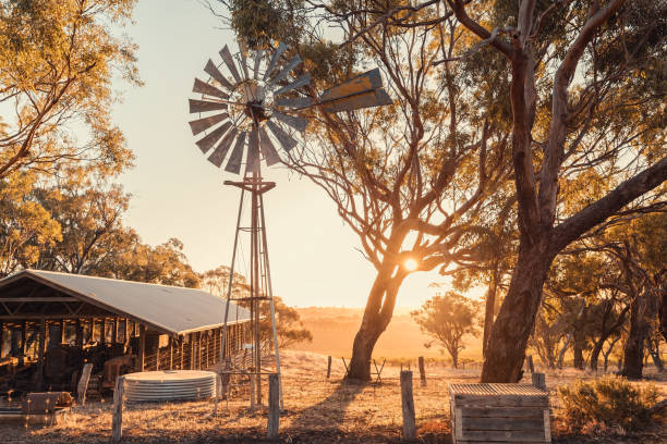 vieux moulin à vent rouillé dans une ferme de mclaren valley - australian landscape photos et images de collection