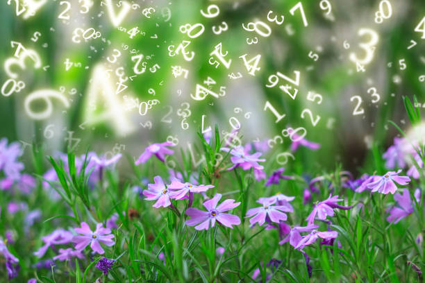 istock numerology, spring flowers, small wildflowers close-up surrounded by numbers 1397912702