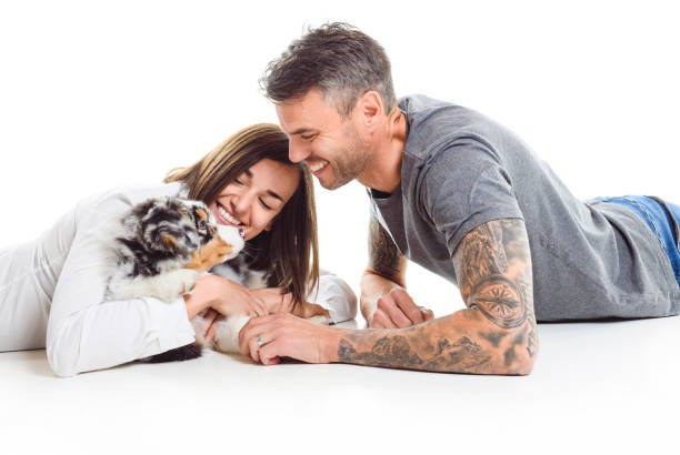 istock Handsome couple with her Australian Berger puppy on studio 1397914688