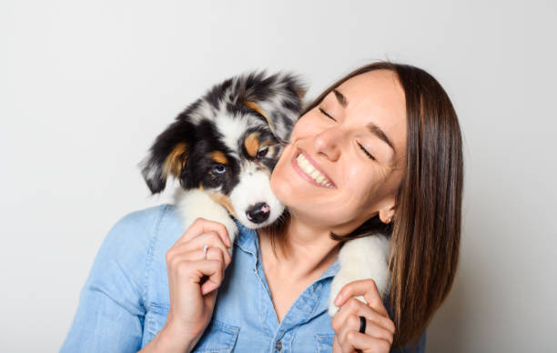 istock Handsome female with her Australian Berger puppy on studio 1397914875