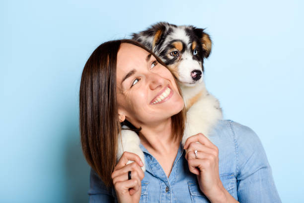 istock Handsome female with her Australian Berger puppy on studio blue 1397914896