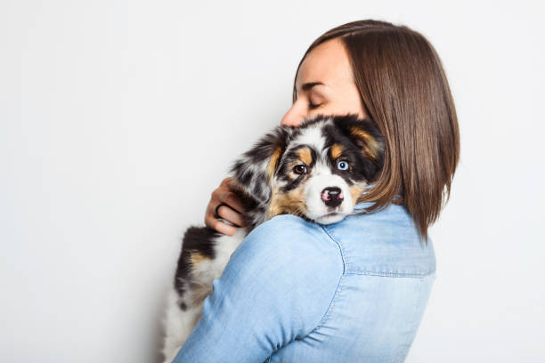 istock Handsome female with her Australian Berger puppy on studio 1397914949