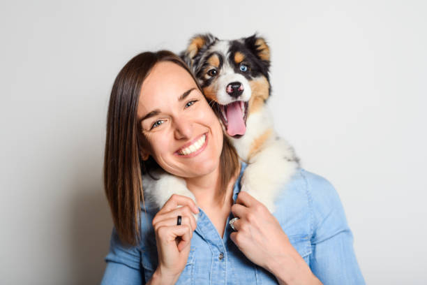 istock Handsome female with her Australian Berger puppy on studio 1397914976