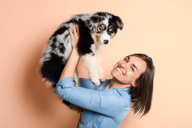 istock Handsome female with her Australian Berger puppy on studio 1397915000